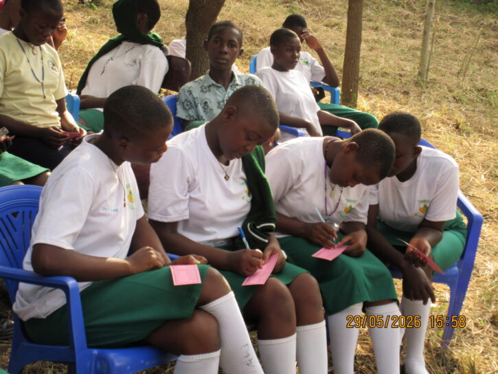 Why is chastity so well-received in Africa?
